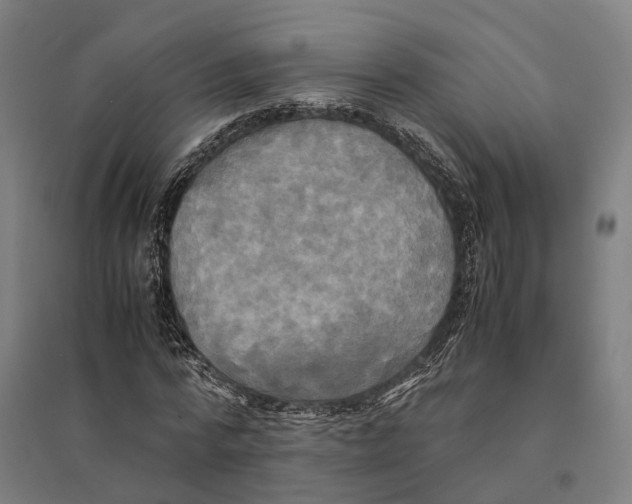 X0000095120776200712301759