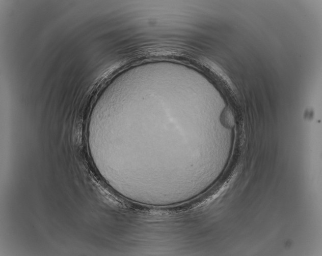 X0000095120777200712301759