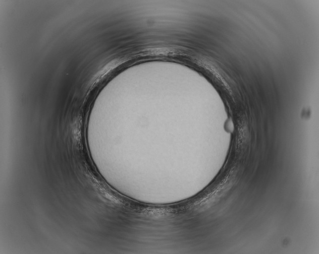 X0000095120778200712301759