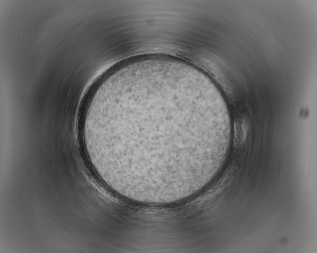 X0000095120780200712301759