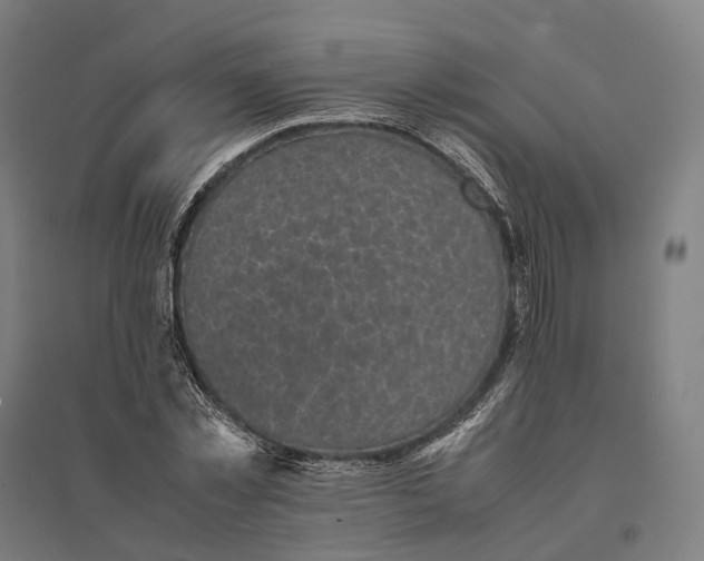 X0000095120781200712301759