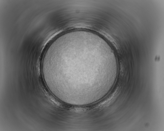 X0000095120782200712301759