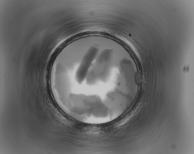 X0000095120783200712301759