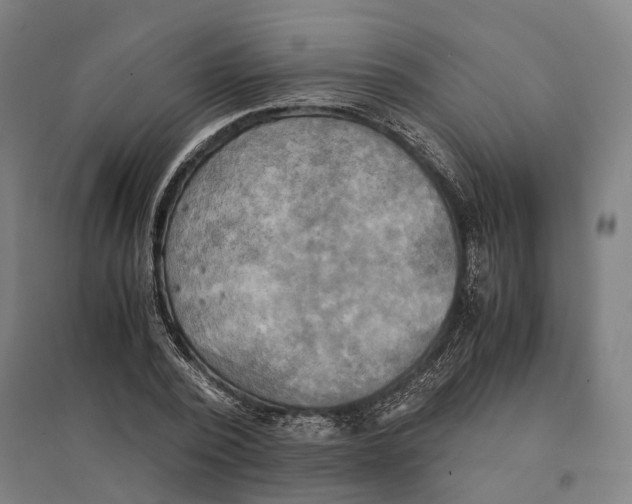 X0000095120784200712301759