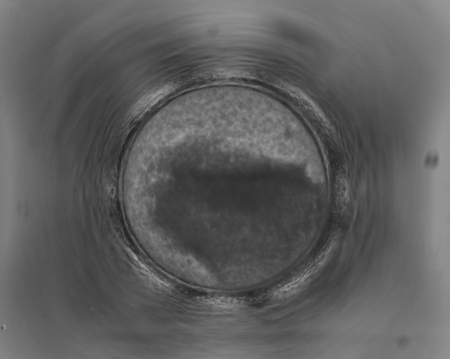 X0000095120785200712301759