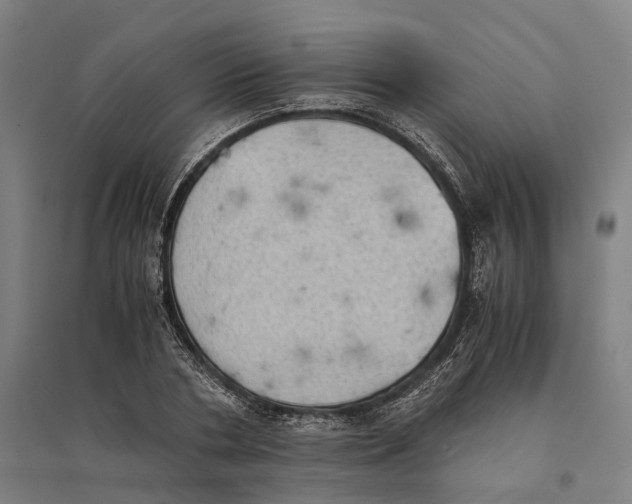 X0000095120786200712301759