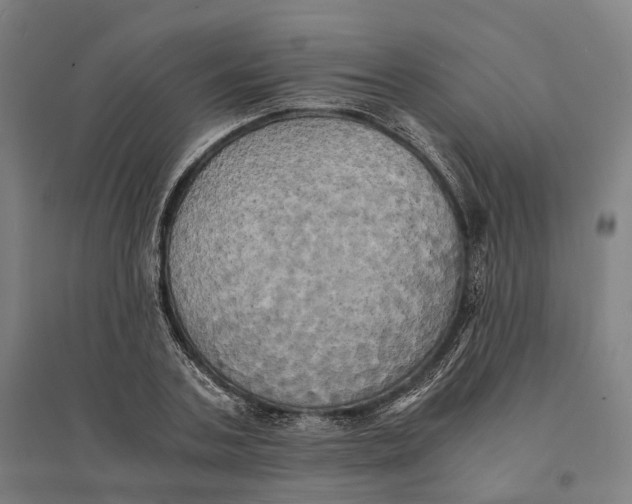 X0000095120787200712301759