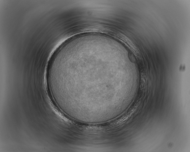 X0000095120788200712301759