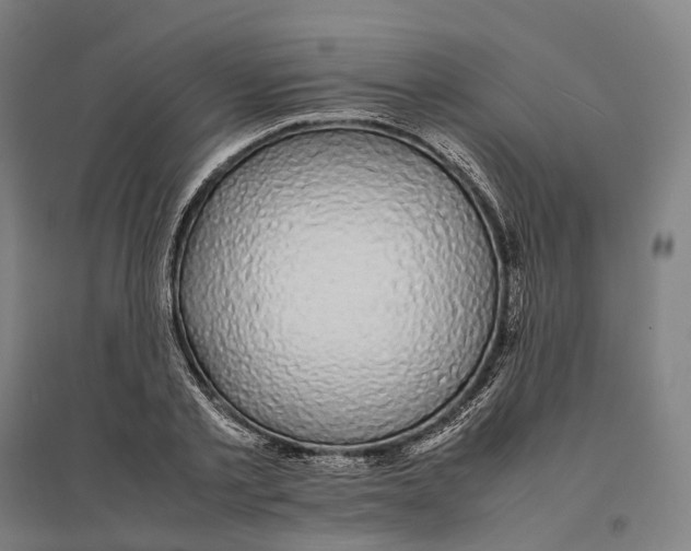 X0000095120789200712301759