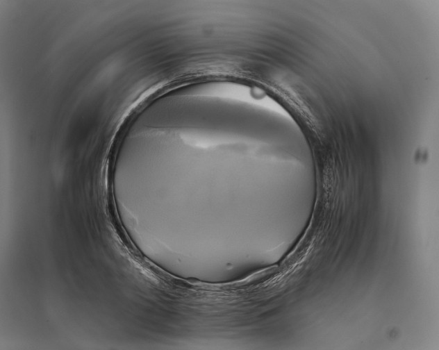 X0000095120790200712301759