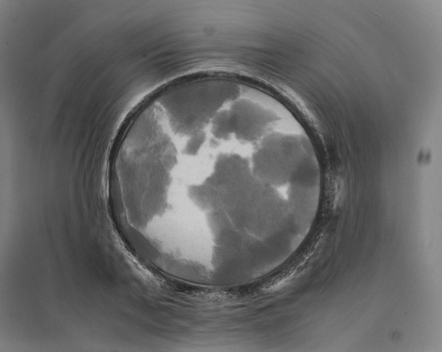 X0000095120791200712301759