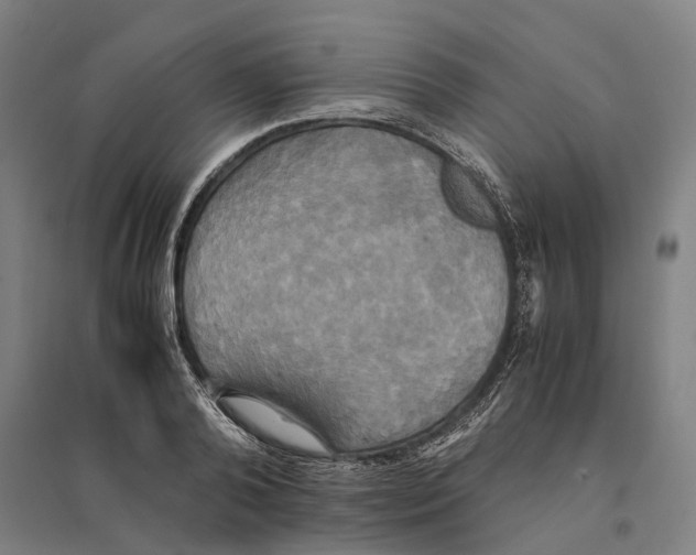 X0000095120792200712301759