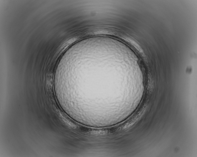 X0000095120793200712301759