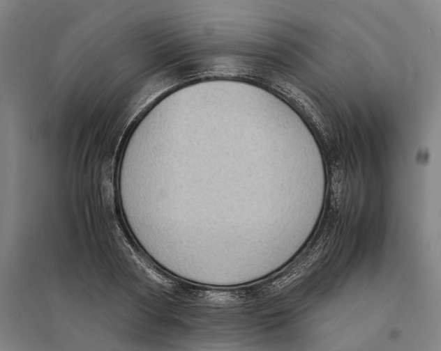 X0000095120794200712301759