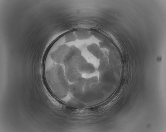 X0000095120795200712301759