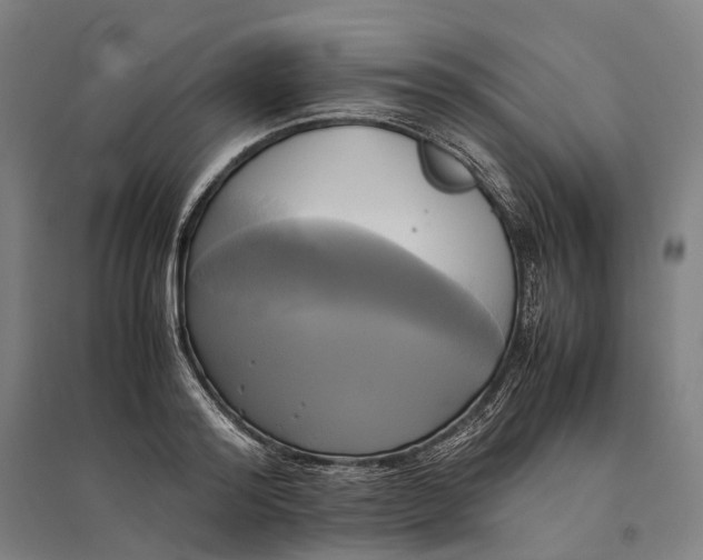 X0000095120796200712301759