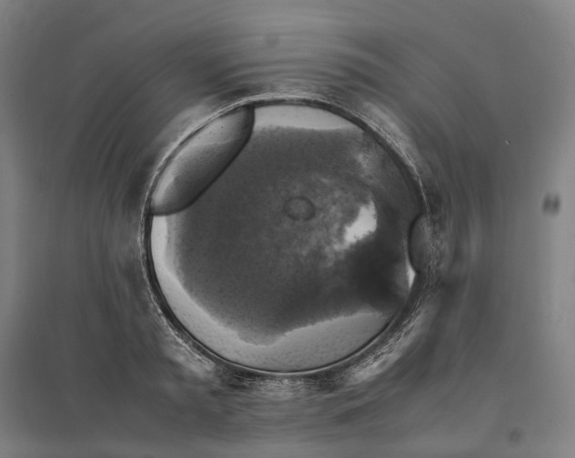 X0000095120797200712301759