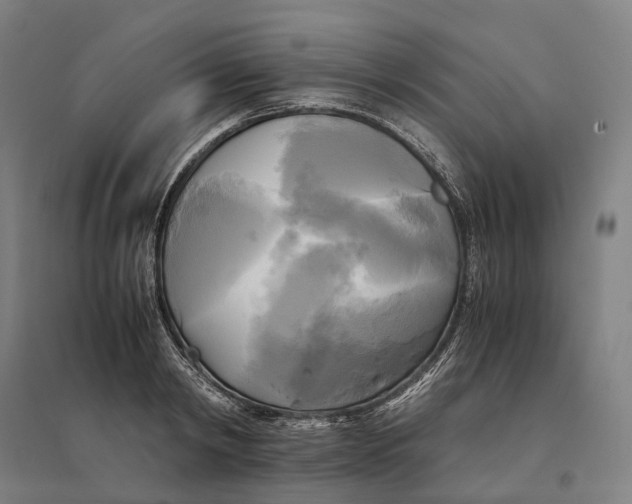 X0000095120798200712301759