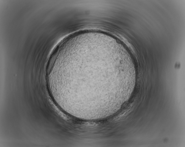 X0000095120799200712301759