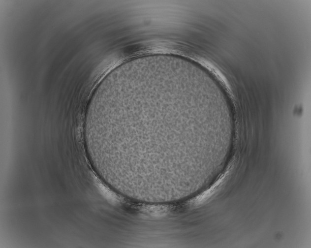 X0000095120801200712301759