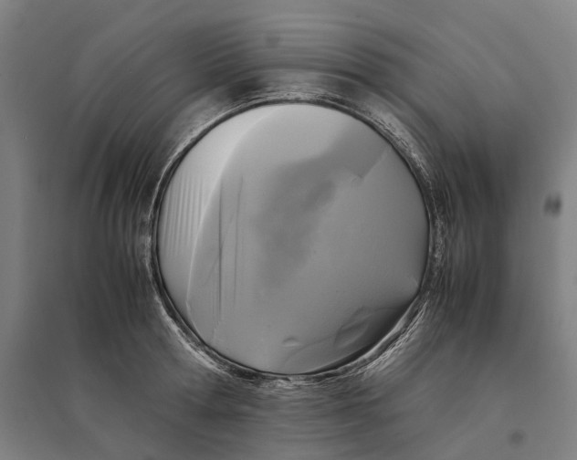 X0000095120802200712301759