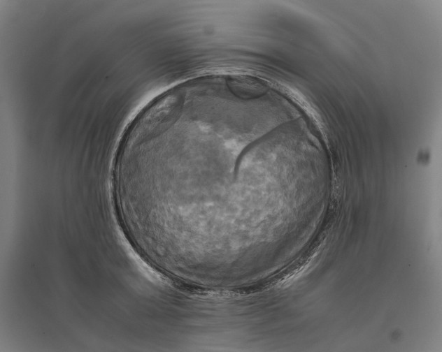 X0000095120803200712301759