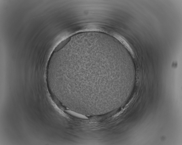 X0000095120805200712301759