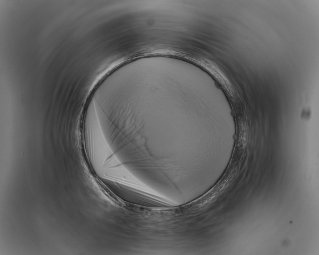 X0000095120806200712301759