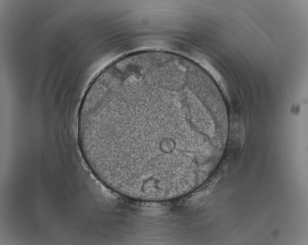 X0000095120807200712301759