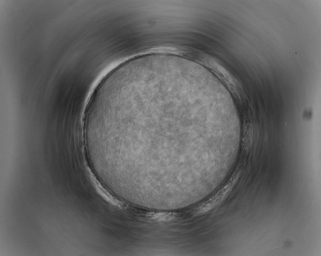 X0000095120808200712301759