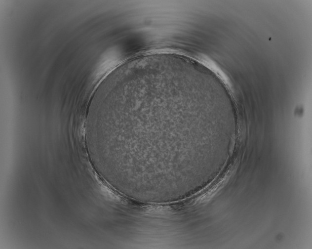 X0000095120809200712301759