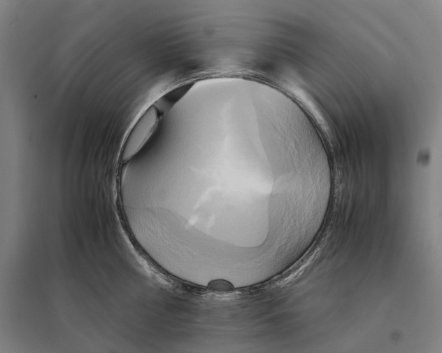 X0000095120810200712301759