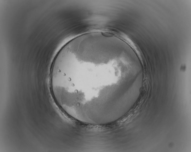 X0000095120811200712301759