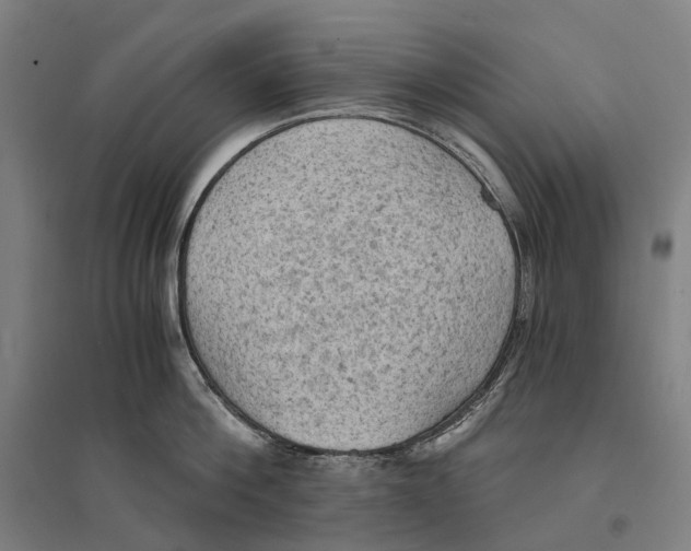 X0000095120812200712301759