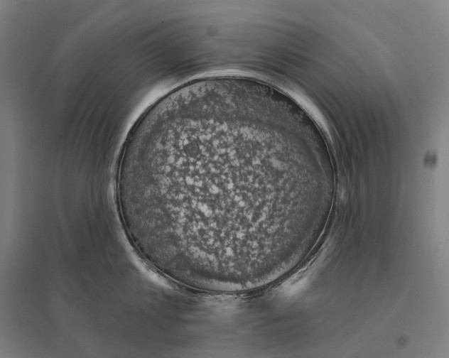 X0000095120813200712301759