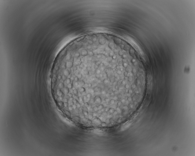 X0000095120814200712301759