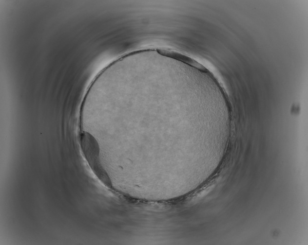 X0000095120815200712301759