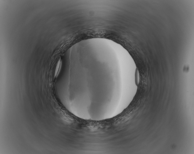 X0000095120818200712301758