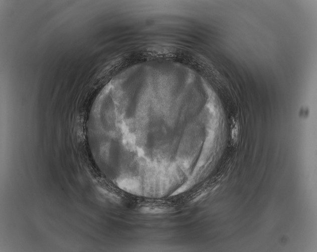 X0000095120819200712301758