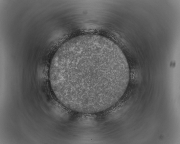 X0000095120820200712301758