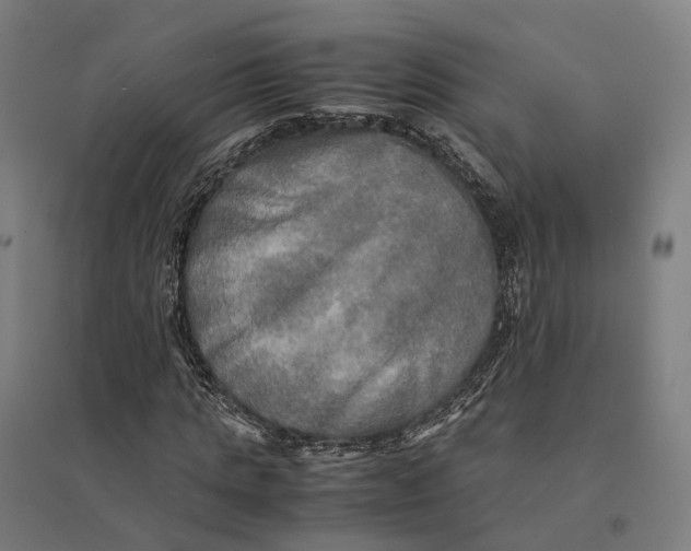 X0000095120821200712301758