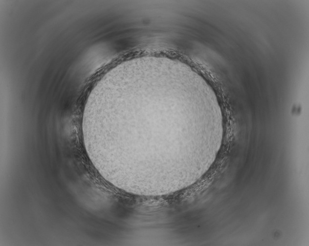 X0000095120824200712301758