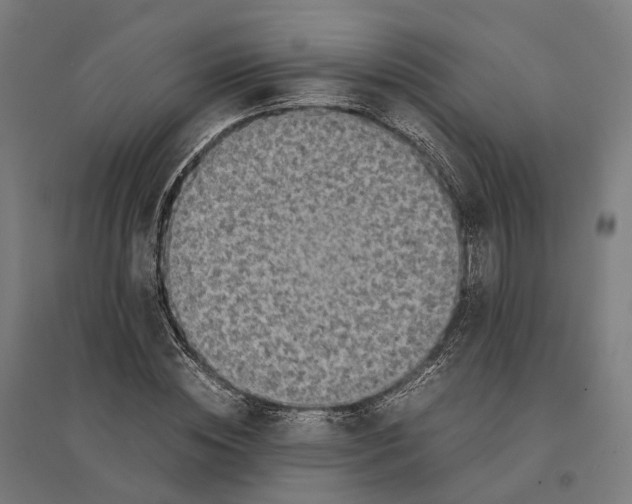 X0000095120828200712301758