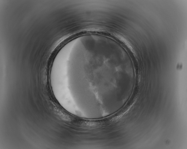 X0000095120829200712301758