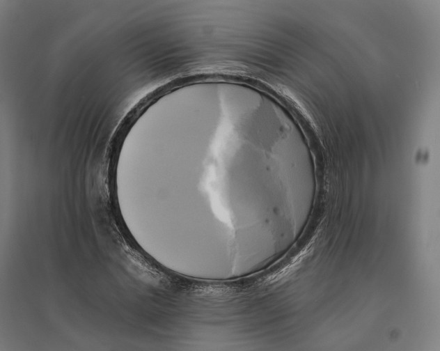 X0000095120830200712301758