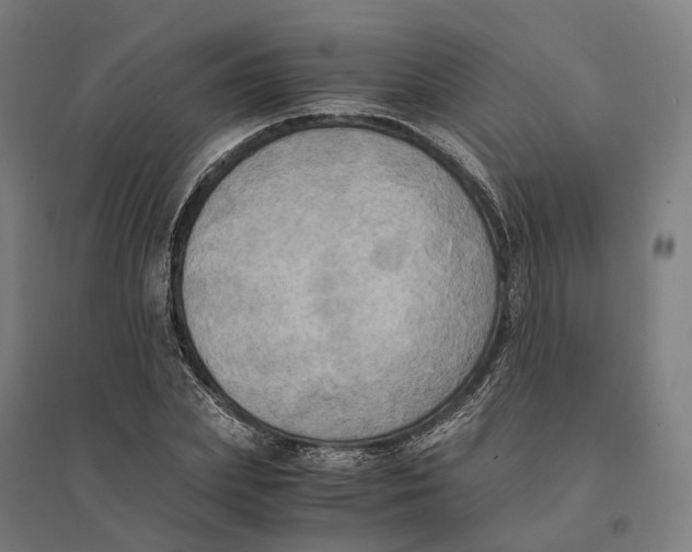 X0000095120831200712301758