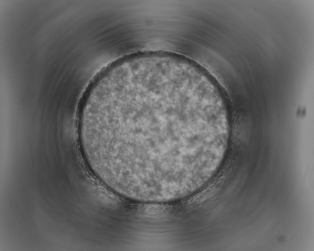 X0000095120832200712301758