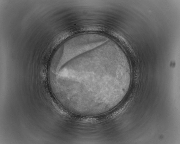 X0000095120833200712301758