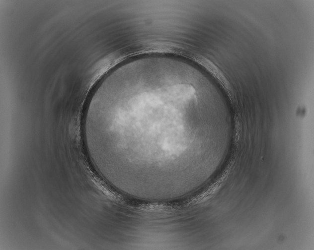 X0000095120834200712301758