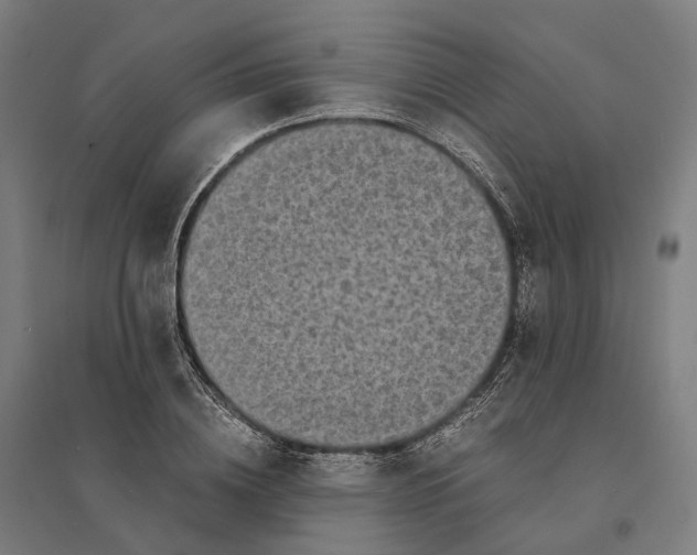 X0000095120836200712301758